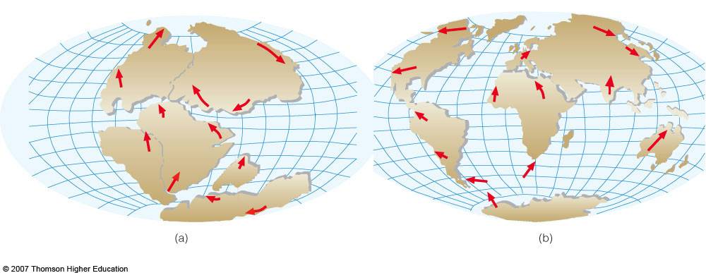 plate tectonic movement